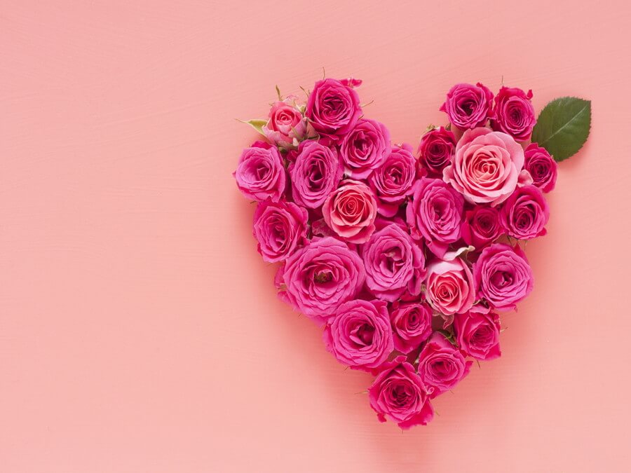 オランジェ・五十鈴の森